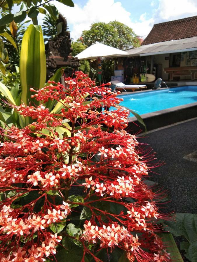 Sunwukong Guest House Ubud Esterno foto